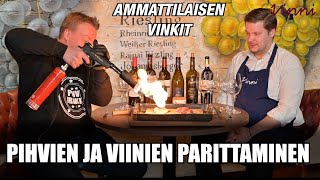 Pihvien ja viinien paritus osa 2. - Ammattilaisen vinkit