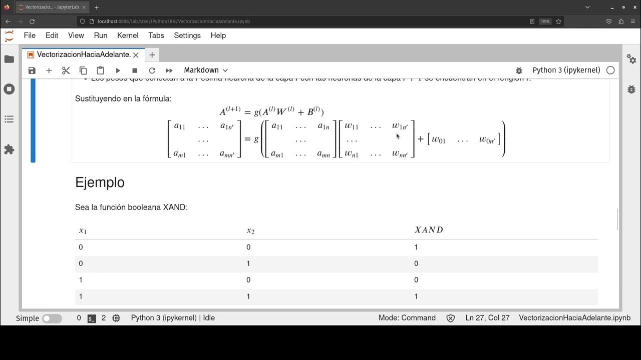 2023 02 18 22 59 00 3 Matrices de pesos Vol - YouTube