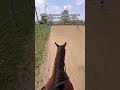 #cavalli #equestrian #horse #trend #perte #sorry