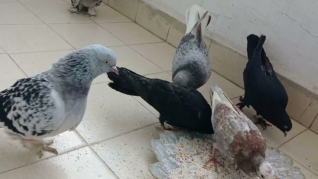 Balkon kümesi çok değişiklik oldu...