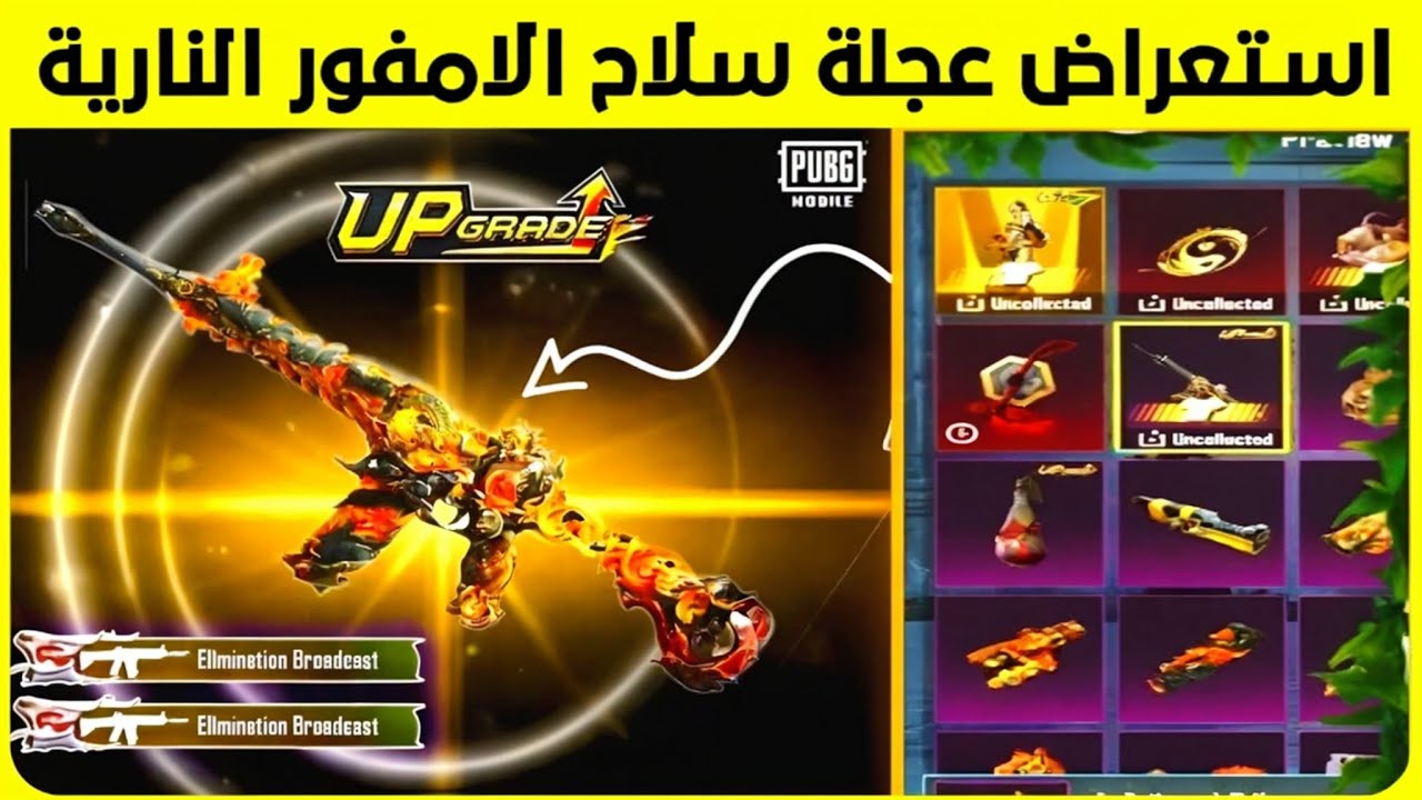 استعراض عجلة الامفور النارية ✅ و العجلة الذهبية القادمة 😍 حل مشكلة لقب متمرس مجيد 😢 