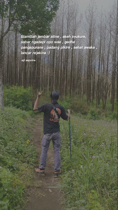 Story wa viral TOP TOPAn versi akustik