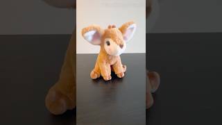 Fernie Soft Fawn Review!🦌💖 #douglas #stuffedanimals #toys #stuffedtoys #softtoys #review