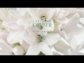Video: Gertraud Gruber Kosmetik - Überzeugende Schönheit mit Herz, Hand und Verstand