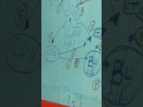 دكتور فوزي مجاهد