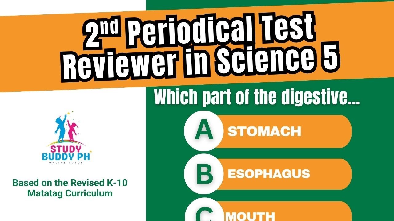 Рецензент 2-го периодического теста по предмету «Естествознание 5» | На основе пересмотренной уче...