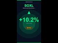 SOXL +10.2% | 10 tiny chips are changing the entire tech landscape suddenly #Shorts