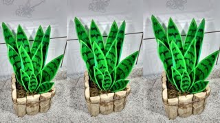 Cara Membuat Tanaman Lidah Mertua dari Plastik Kresek