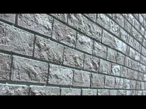 სახლი _ კაპაროლი (გადაცემა 11 ,სეზონი 2)