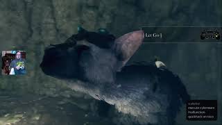 Rocco Plays The Last Guardian : Night 1 - MLK Week 2021 screenshot 5