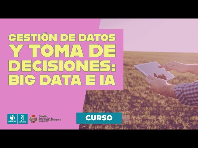 CURSO - Gestión de Datos y Toma de Decisiones en Agricultura: Big Data e Inteligencia Artificial