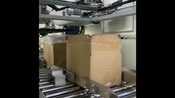 Bagging Machine Full Workflow | Automatic Packaging Line