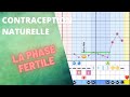 Priode fertile de la femme  comment la connatre grce  la symptothermie