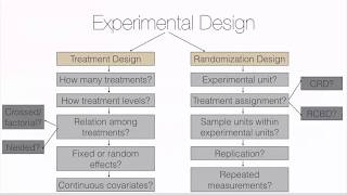 Unit #5 (b) Lesson 1: Intro to Experimental Design