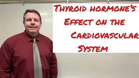 How Thyroid Hormone Effects the Cardiovascular System