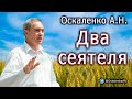 Оскаленко А.Н. 17.09.2023. Два сеятеля