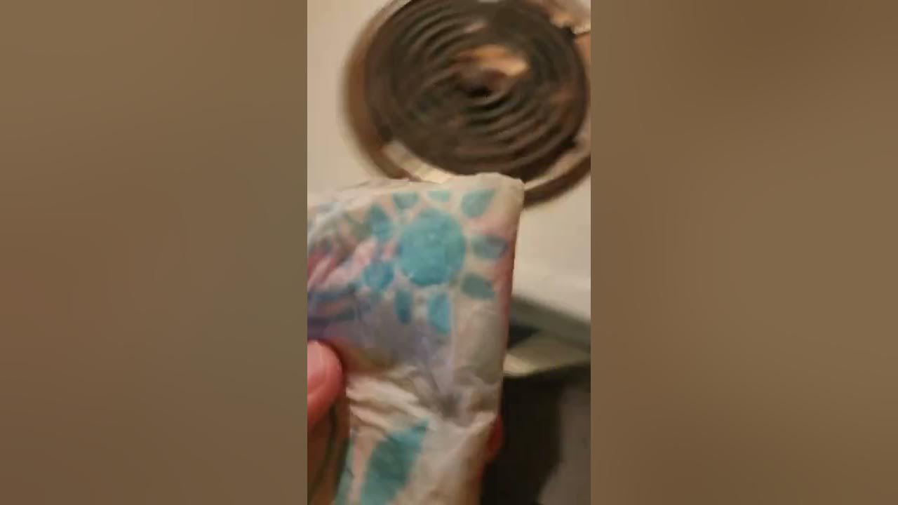 grow your own rice from store bought rice YouTube