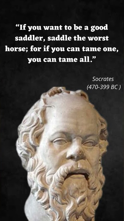 Socrates Quotes | Socrates Quotes From His Diary | SET Motivation | #shorts #status #sócrates