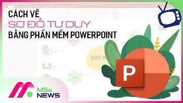 Cách vẽ sơ đồ tư duy bằng PowerPoint đẹp, nhanh, dễ thao tác (2022) | Protected By DMCA.com
