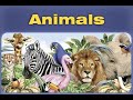 Animals for kids - животные на английском