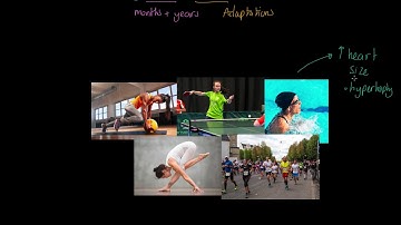 Long Term Effects of Exercise IGCSE PE