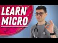 How to learn microbiology and not die trying
