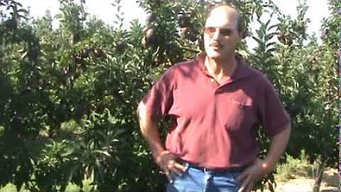 Meet your growers: Al Dietrich