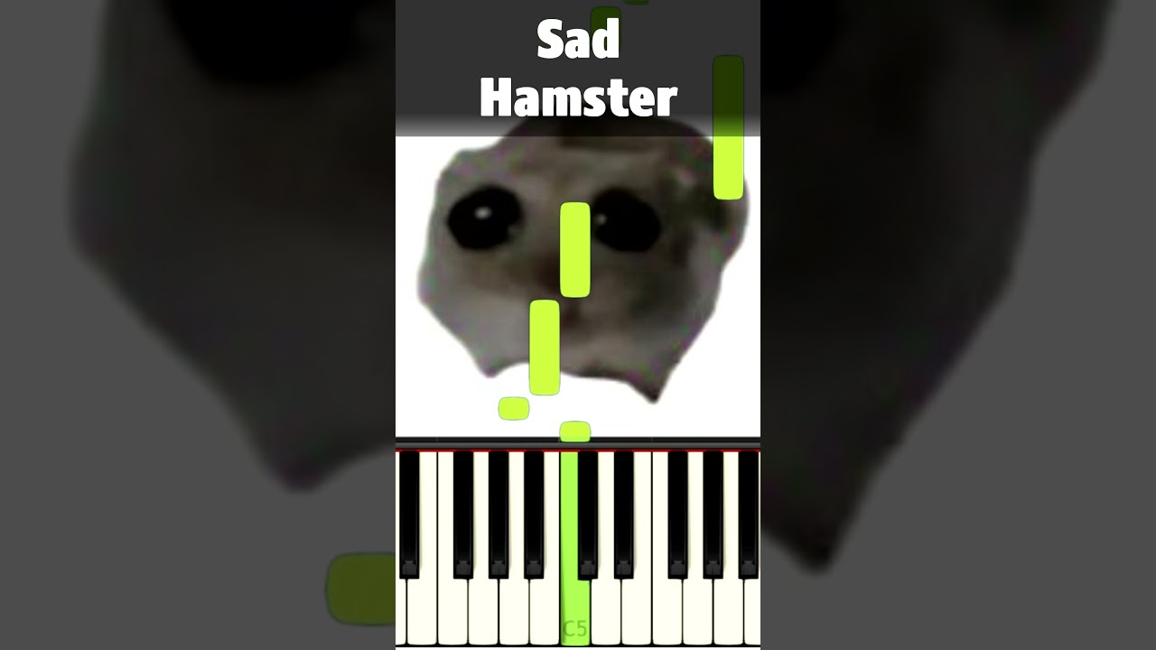 sad hamster #meme #piano #music
