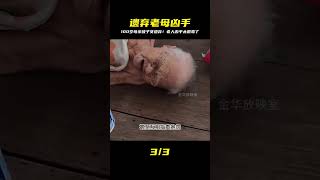 100歲母親被6個子女遺棄,兇手竟然是…當你老了,真相比想象中更殘忍一大等! #家庭糾紛 #家庭矛盾 #情感糾葛 #社會百態 #倫理道德