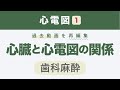 【心電図１】心臓と心電図の関係(＋過去に出題された不整脈まとめ)