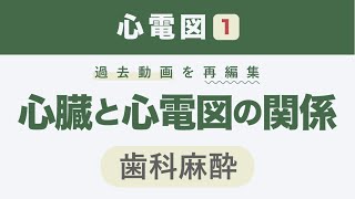 【心電図１】心臓と心電図の関係(＋過去に出題された不整脈まとめ)