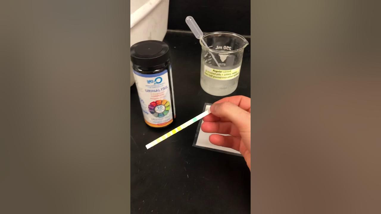 Lactase Enzyme (Lactaid, Dairy Relief) Lab, Part 1 YouTube