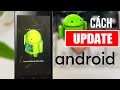 Cách Update điện thoại Android lên phiên bản mới nhất cho điện thoại