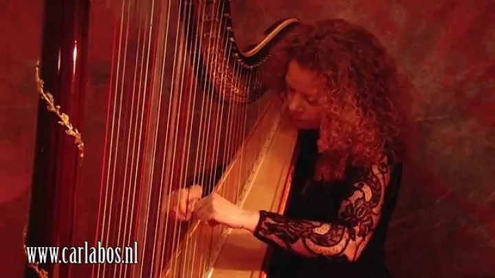 Canon in D Major - Pachelbel (Carla Bos, harp)