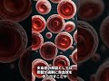 血液が濃すぎる多血症とは？ #shorts