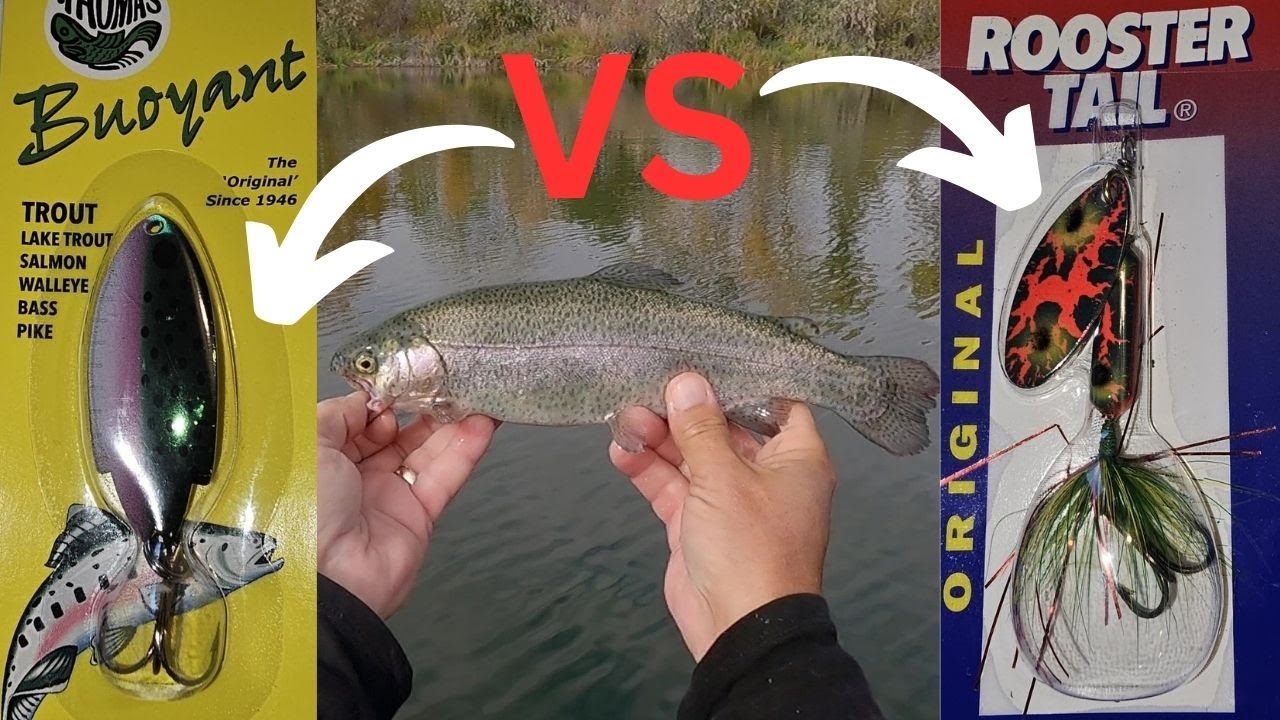 Trout Fishing Showdown: Spinner vs Spoon! 