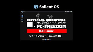 #Shorts Review 毎日Linux【Salient OS】クールなゲーマー向けの Aarch Linux 派生のディストリビューションだけど、残念ながら日本語非対応...。