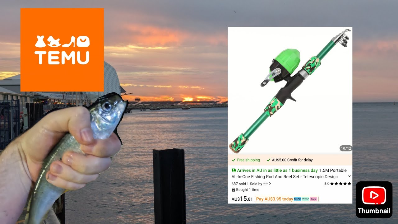 Can a Temu Kids Fishing Rod Catch Real Fish?!