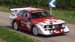 Best of Alsace Rallye Festival 2023 | Action | Sound | Mistakes [4K ]