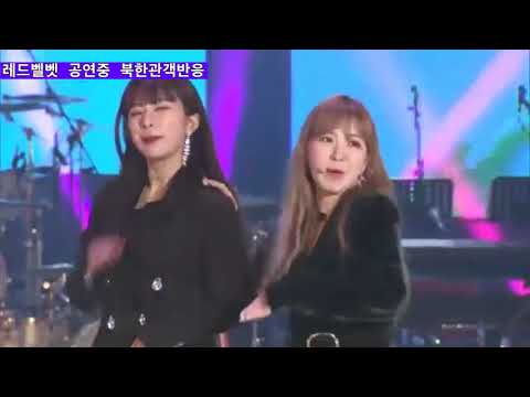 [Funniest Video] North Korean Reaction to K-pop