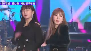 [Funniest Video] North Korean Reaction to K-pop