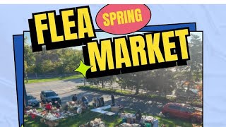 roscoe Woodstock Antique Mall flea market spring event haul #thrifting #vhs #moviescollection