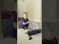 Toddler Rescues A Kitten From The Shelter And It&#39;s The Cutest Thing EVER | The Dodo