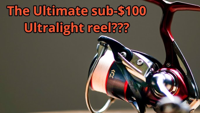 Daiwa Fuego LT Reel Review [Pros & Cons] 