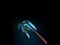 Night Spearfishing #freediving #spearfishing