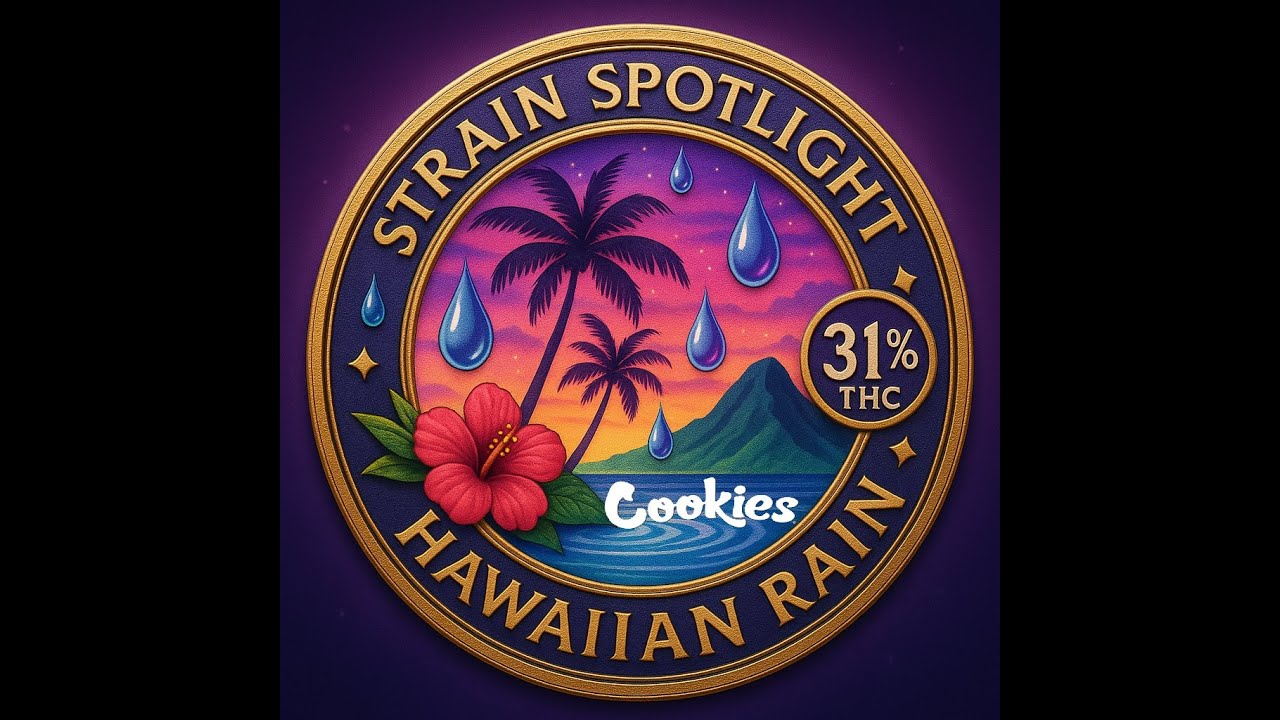 Strain Spotlight   🍪 Cookies - Hawaiian Rain (31% THC) 🌧️ – Medical Flower Review 💨