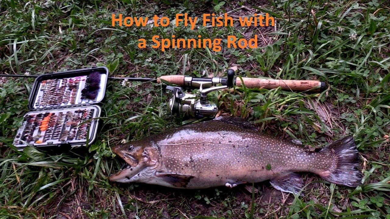 DVD How to Fly Fish with a Spinning Rod 