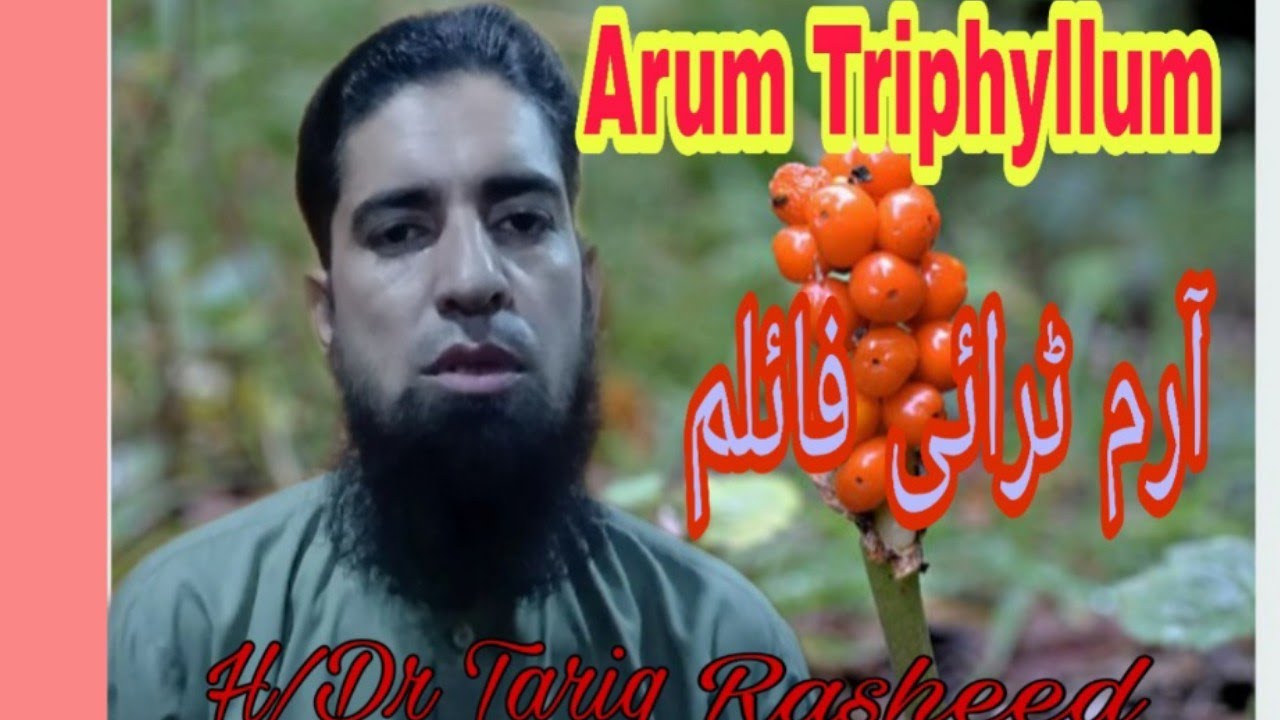 Arum Triphyllum | Homoeopathic medicine | Dr Tariq Rasheed
