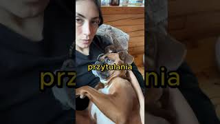 Największy pies świata pokazuje swoją radość! 🐶