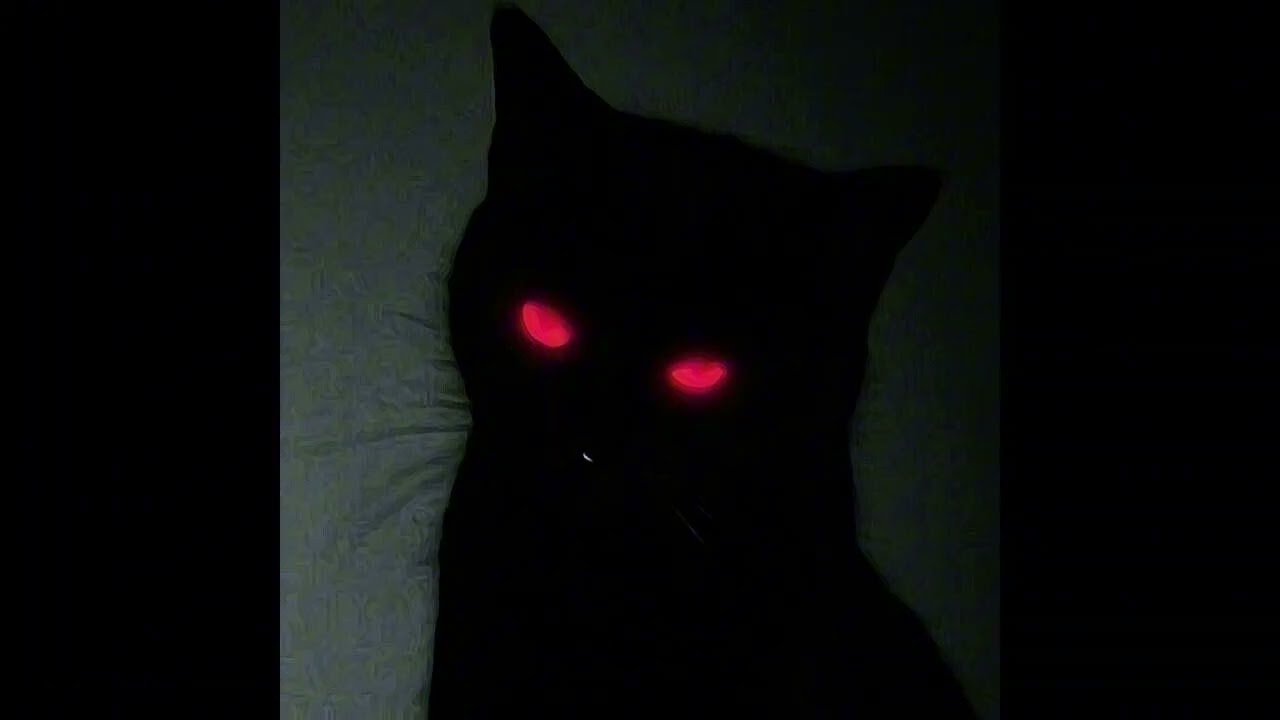 (Sold) alternative rock x goth rock x shoegaze type beat 